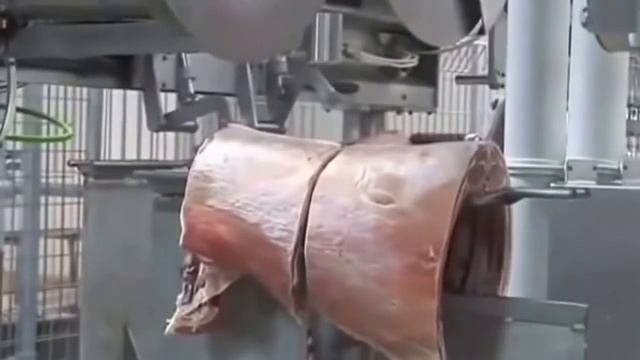 Автоматическая линия разделки туши свинины!!! Китай впереди всех!!! смотреть онлайн