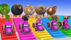 Мультик для Очень Маленьких, учим цвета и животных, Забавные 3d-животные и смешные видео