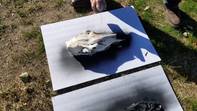 How to Make a Southwest Style Turquoise Design Elk Skull Tutorial смотреть онлайн