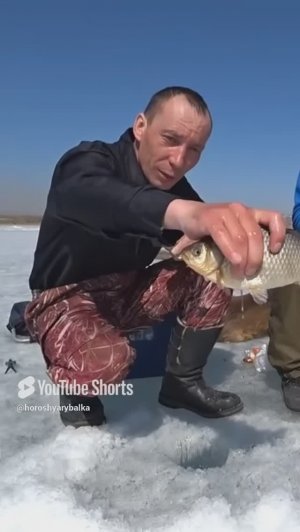 ВЕСЕННИЙ КАРАСЬ.