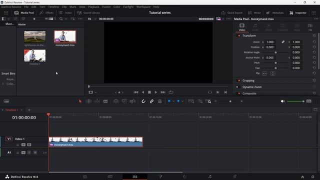 How to Fix Davinci Resolve Playback Lag (2024) смотреть онлайн