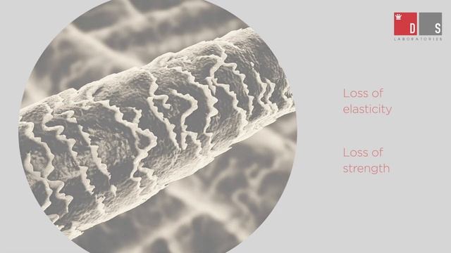 Eyelash & Eyebrow Growth Kit: Get Thicker, Longer, and Beautiful Eyelashes and Eyebrows смотреть онлайн