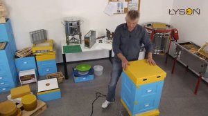 Ульи Лысонь   Обзор специалиста