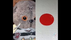 Басики из тт (Basik179)