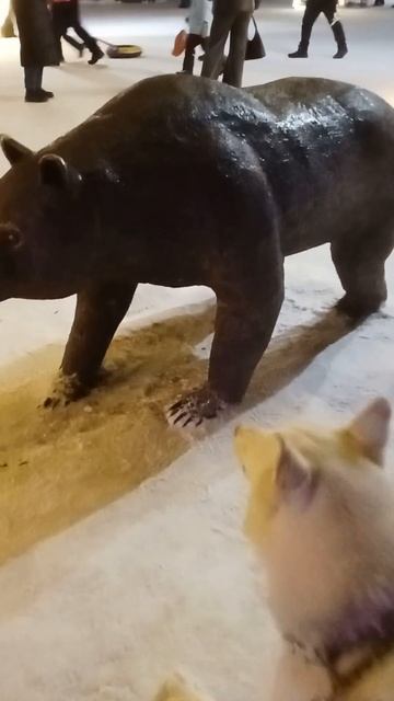 Охота на медведя смотреть онлайн