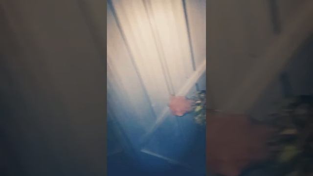 Tara bush fire смотреть онлайн