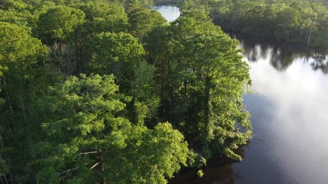 DJI Mini 2: Tar Landing 6/13/2021 смотреть онлайн