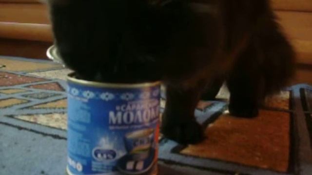 супер сгуха!