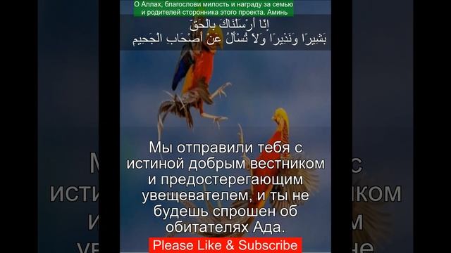 Коран Сура Аль-Бакара | 2:119 | Чтение Корана с русским переводом | Quran Translation in Russian смотреть онлайн
