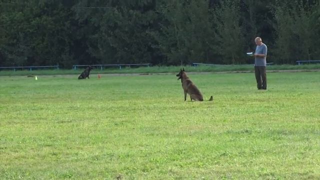Кубок памяти 2016. Поттер Симеон, В -91 смотреть онлайн