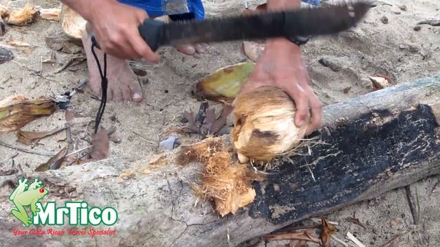 How To Open a Coconut with a Machete смотреть онлайн
