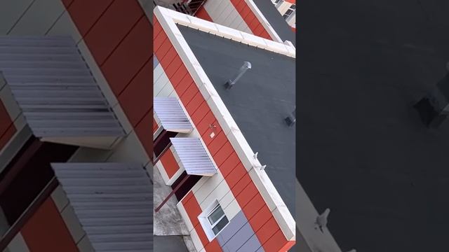 Наверное бакланы смотреть онлайн