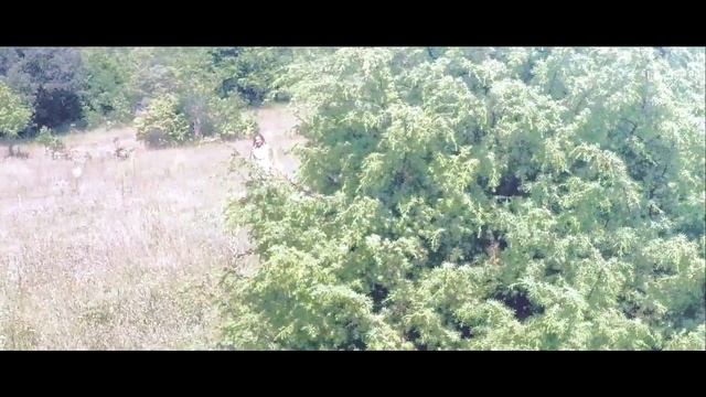 Pepa Dimitrova - Places so mene смотреть онлайн