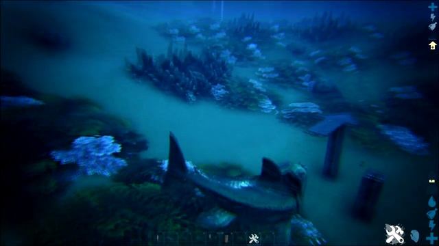 Trampa para MEGALODON ALFA Y MEGALODON ARK [] TIPS y TRUCOS ARK [] JusticeofDragon смотреть онлайн