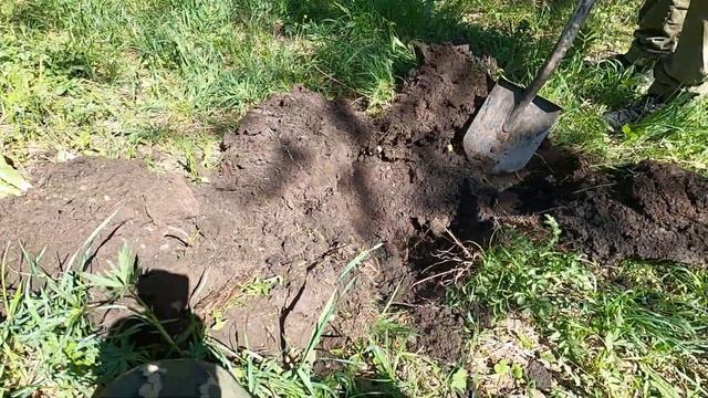 ЕЛЕ ВЫТАЩИЛИ ЭТОГО ЗВЕРЯ / МЕТАЛЛОКОП смотреть онлайн