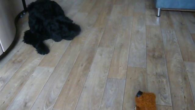 Разборка с Кузей смотреть онлайн