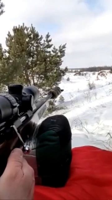 Горностай 223rem. 400м гонг смотреть онлайн