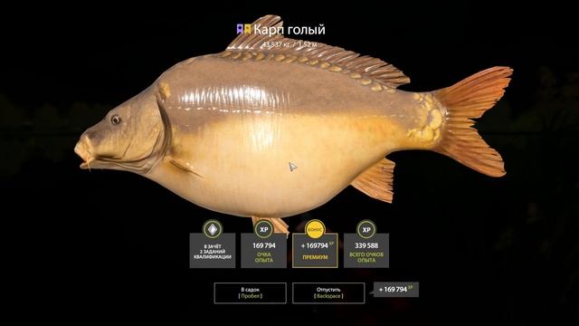 #РР4 Троф Карп голый (оз.Янатарное) смотреть онлайн