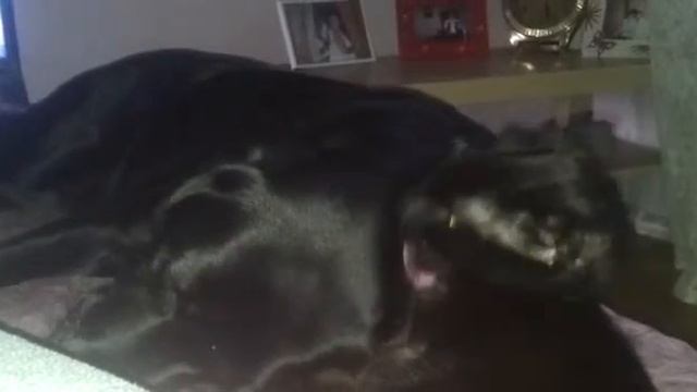 31 мая 2016 г. смотреть онлайн