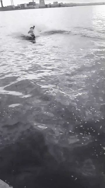 18 декабря 2023 г. смотреть онлайн