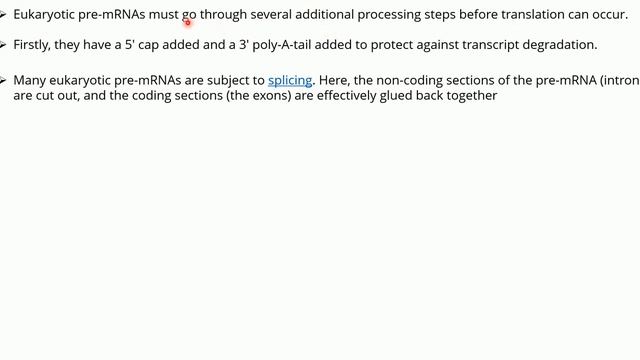 Transcription Translation Protein Synthesis For Beginners | Protein Synthesis Step By Step Process