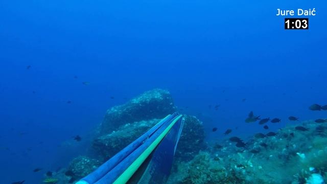 Amberjack 50kg смотреть онлайн