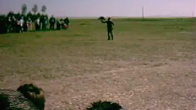 I Feria Villa de Macotera - Exhibición de cetrería (2) смотреть онлайн