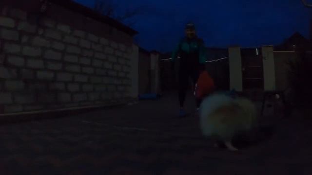 FITLAND_Comrat💚Карантин2020🙏 Тренировки онлайн (6)#дома# 25.03.2020 смотреть онлайн