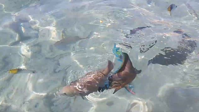 11 октября 2023 г. смотреть онлайн