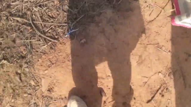 Gauka keta(4) смотреть онлайн