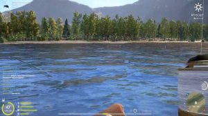 ШИКАРНАЯ ТОЧКА НА 1000+ СЕРЫ НА ЯМЕ МАТЧИ В РУССКОЙ РЫБАЛКЕ 4 РР4