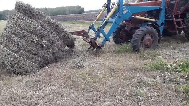 уборка сена смотреть онлайн