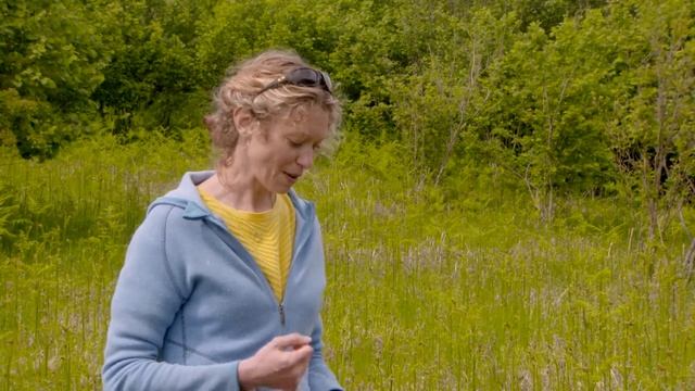 Conservation: The Scottish Story смотреть онлайн