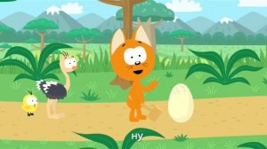 яйки и котэ