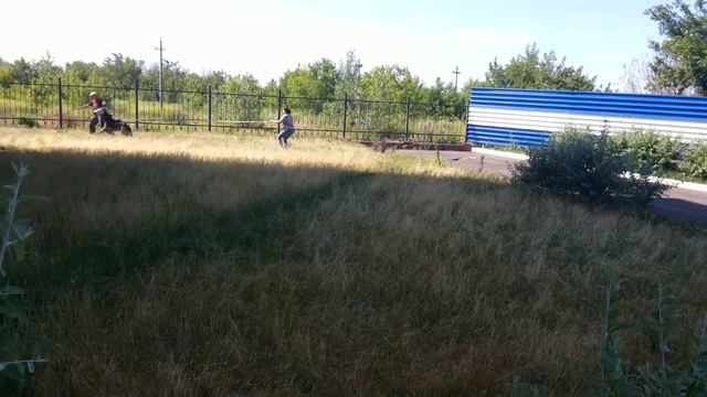 Хамелеон из ДК смотреть онлайн
