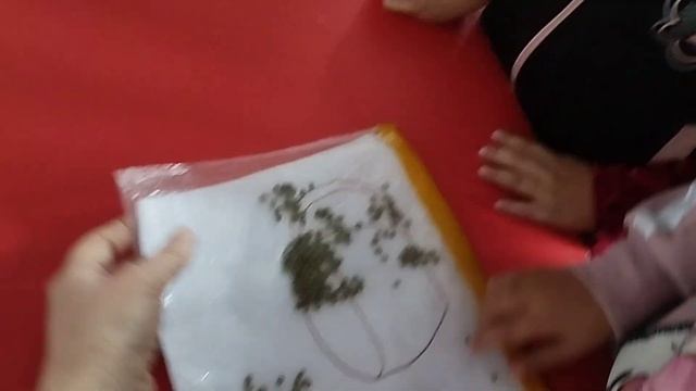 КҮННІҢ ЕКІНШІ ЖАРТЫСЫ смотреть онлайн