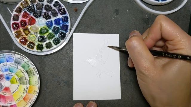 Raven Watercolor - Part I смотреть онлайн