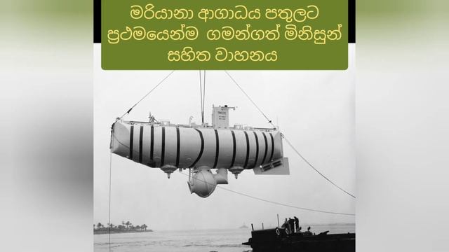 #මරියානා ආගාධය #ගැඹුරුම තැන #Mariana Trench #අපේ චූටි ඉස්කෝලේ смотреть онлайн