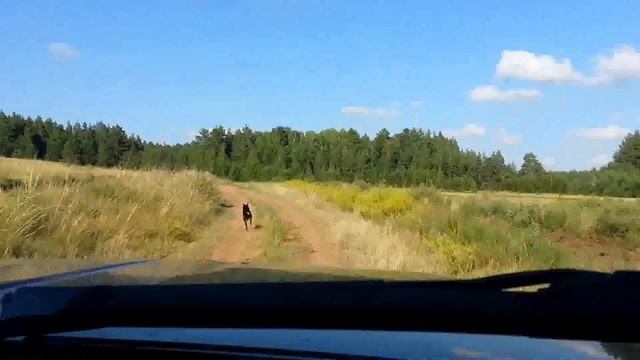 Домбыралы 2014 ч2 смотреть онлайн