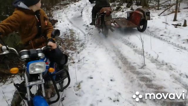 квадрик в лесу смотреть онлайн