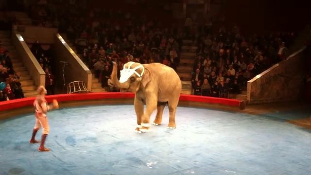 Тайна слонов-великанов - губная гармошка смотреть онлайн