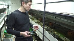 Водообмен в УЗВ для раков, тонкости разведения, задумки на следующий год