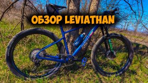 Обзор проекта Leviathan