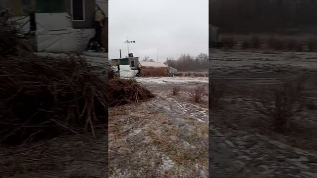 Актуальні ціни на зерно пшениці, кукурудзи, соняшника, сої в грудні 2021 року смотреть онлайн