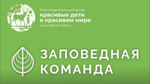 Волонтерство на Ладожской орнитологической станции