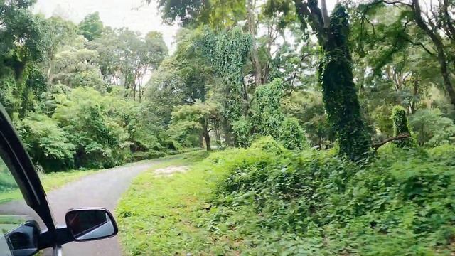 monkey waterfalls| kadamparai dam | vandal dam | attakatti | கவியருவி @boom_squad4238 смотреть онлайн