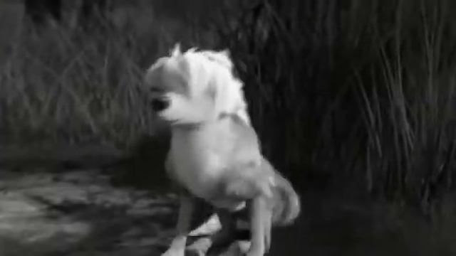 лили и гарт !!! смотреть онлайн