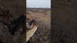 Второй отстрел карабина Монза