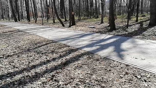 Дубовая роща в городе Чебоксары,краткий обзор. смотреть онлайн