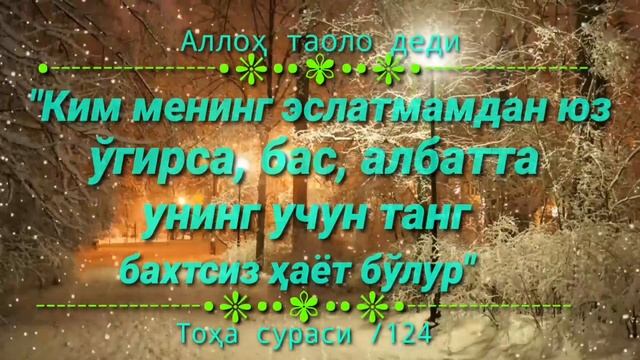 315-Савол: Фаришта инсонга кўринадими? (Шайх Абдуллоҳ Зуфар Ҳафизаҳуллоҳ) смотреть онлайн